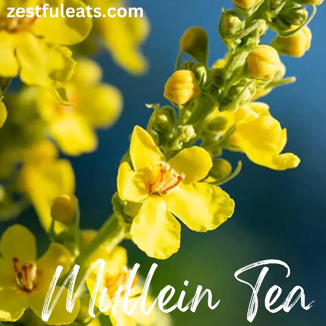 Mullein Tea